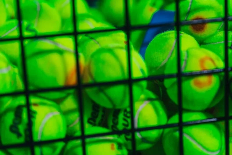 Best Tennis Balls in 2026 — Wilson, Penn, Dunlop Compared