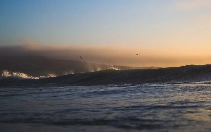 Tennis Elbow Prevention — Best Arm-Friendly Rackets